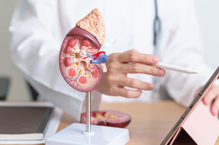 Penyakit Ginjal Kronik